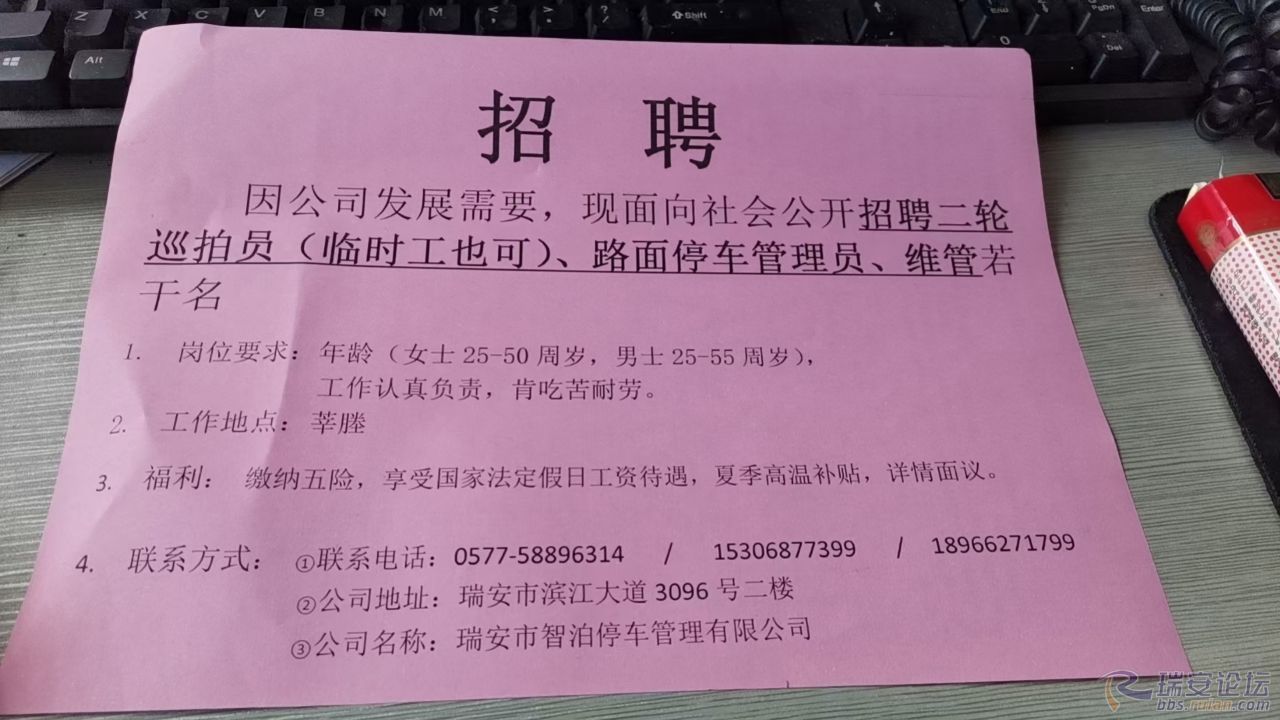 遂溪最新招聘臨時工信息及其相關(guān)概述，遂溪最新臨時工招聘信息概覽