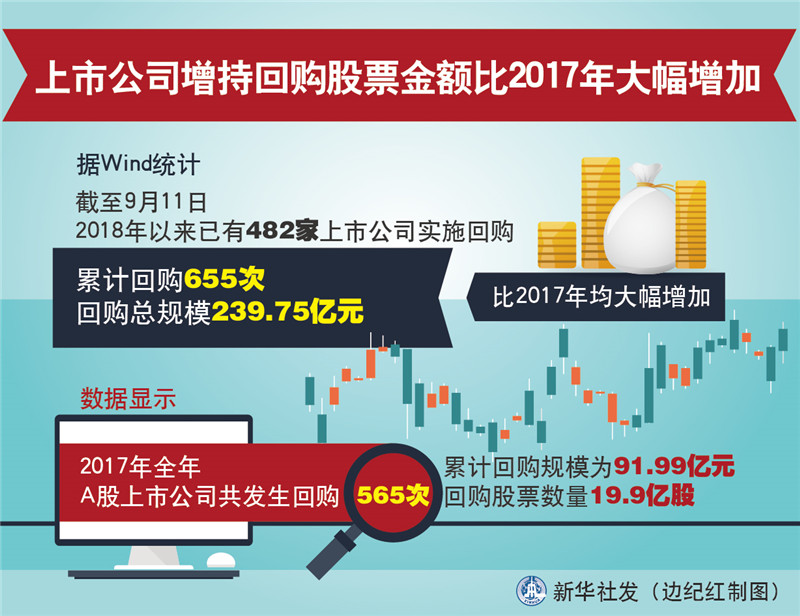 股票增持，策略、影響與考量因素，股票增持策略，影響因素與考量因素深度解析