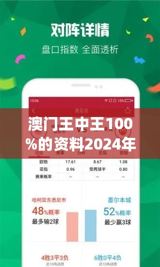 2024年新澳門王中王免費(fèi)，專家解析最佳策略