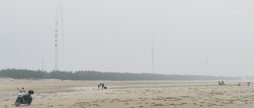 湛江南三島最新新聞報道，湛江南三島最新新聞動態(tài)速遞