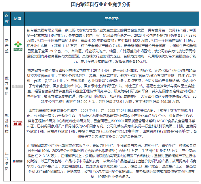 王中王資料大全料大全1,實地數(shù)據(jù)驗證設(shè)計_領(lǐng)航款19.944