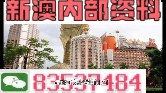 澳門內(nèi)部資料精準(zhǔn)大全2023——警惕違法犯罪風(fēng)險(xiǎn)，澳門內(nèi)部資料精準(zhǔn)大全背后的風(fēng)險(xiǎn)，警惕違法犯罪威脅 2023年警惕篇