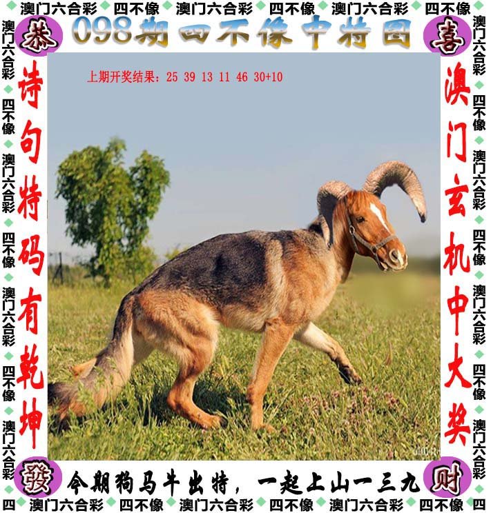 新澳2024今晚開獎(jiǎng)資料四不像,實(shí)地?cái)?shù)據(jù)驗(yàn)證計(jì)劃_安卓版35.639