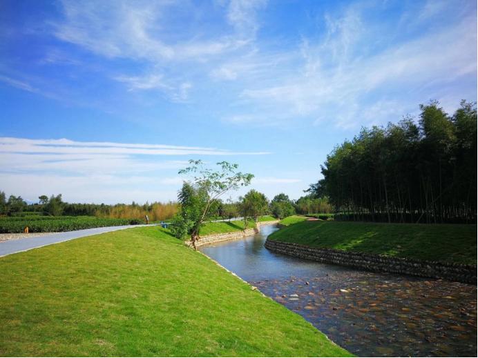 熊貓公園的最新消息，探索自然與文化的融合之旅，熊貓公園最新動(dòng)態(tài)，自然與文化融合之旅探索