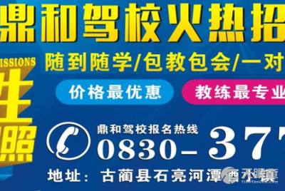 龍崗坑梓最新招聘司機(jī)信息，探索職業(yè)發(fā)展的無限可能，龍崗坑梓最新司機(jī)招聘信息，職業(yè)發(fā)展的無限機(jī)遇探索