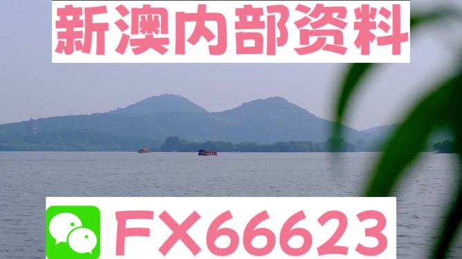 關(guān)于新澳2024正版資料的免費(fèi)公開及相關(guān)問題探討，新澳2024正版資料免費(fèi)公開及相關(guān)問題深度探討