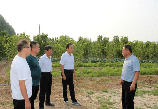 館陶合作社最新消息，推動(dòng)農(nóng)業(yè)現(xiàn)代化與地方經(jīng)濟(jì)繁榮的新動(dòng)力，館陶合作社最新動(dòng)態(tài)，推動(dòng)農(nóng)業(yè)現(xiàn)代化與地方經(jīng)濟(jì)繁榮的新引擎