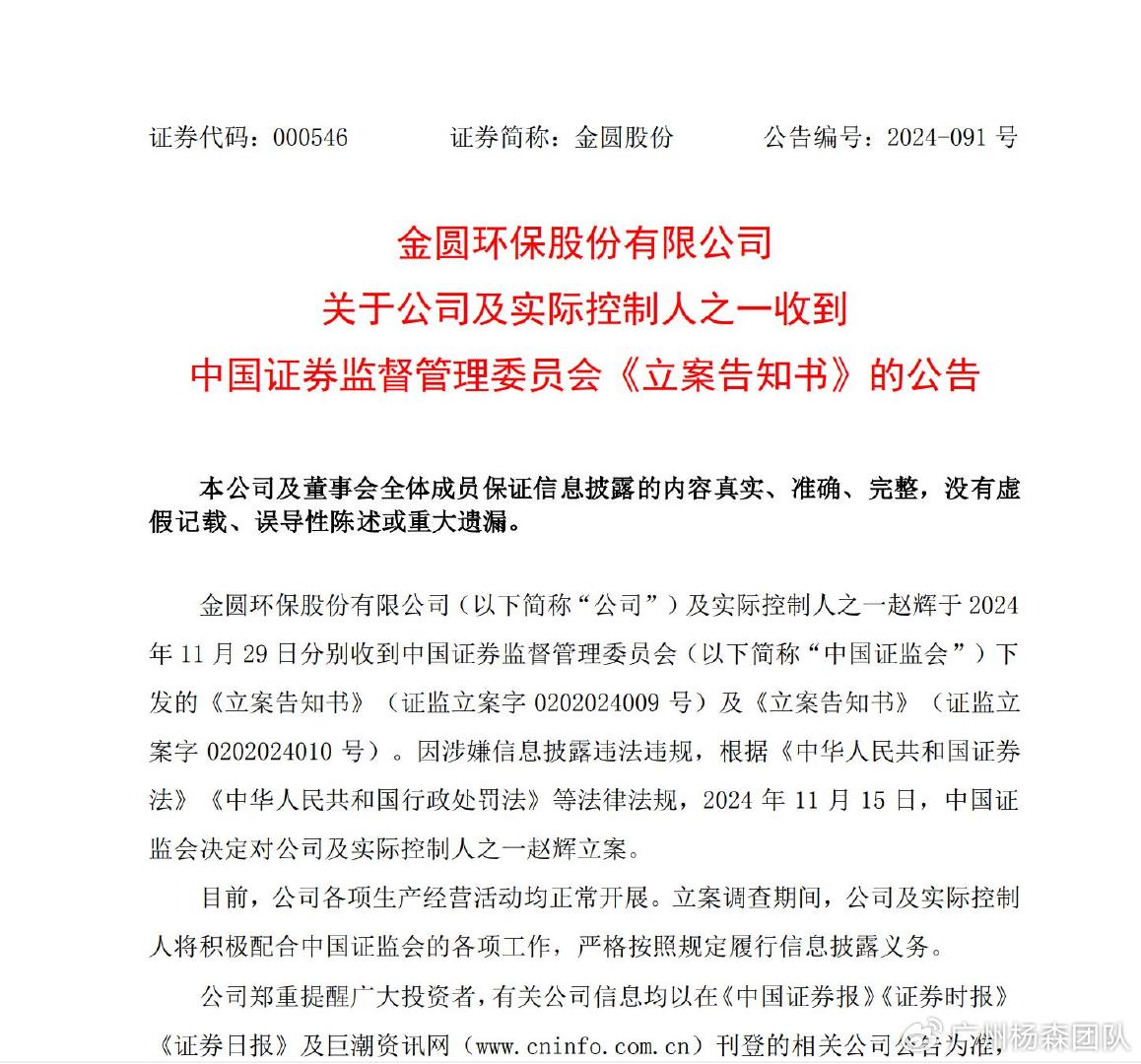 金證股份定增最新消息全面解讀，金證股份定增最新消息全面解析