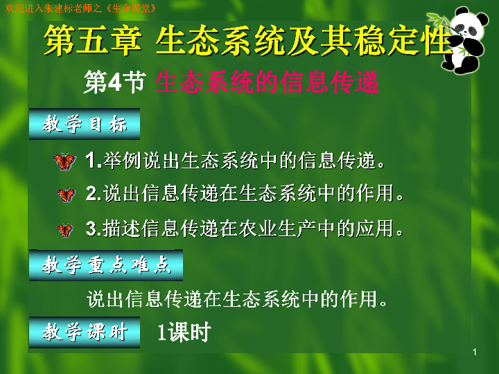 生態(tài)革命的新篇章，生態(tài)5重組的最新消息，生態(tài)革命新篇章揭秘，生態(tài)5重組最新動態(tài)