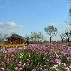 官港森林公園最新消息，官港森林公園最新動(dòng)態(tài)報(bào)道