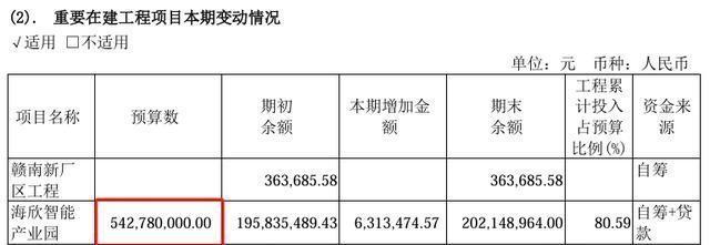 海欣股份目標(biāo)價(jià)30元的投資邏輯與市場展望，海欣股份目標(biāo)價(jià)30元，投資邏輯與市場展望分析