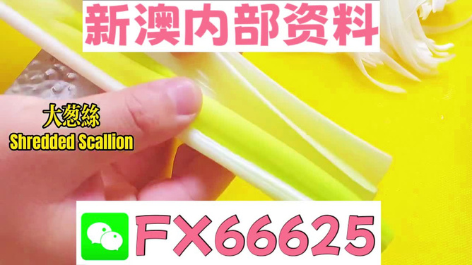 澳門正版資料免費(fèi)大全新聞，揭露違法犯罪問題，澳門正版資料揭露違法犯罪問題，免費(fèi)新聞大全揭示真相