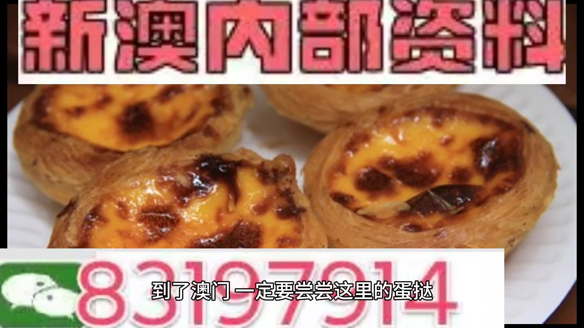 探索未來，2024年新奧梅特免費(fèi)資料大全，探索未來，2024年新奧梅特免費(fèi)資料大全全解析