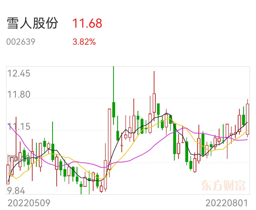 雪人股份可能面臨收購(gòu)，機(jī)遇與挑戰(zhàn)并存，雪人股份面臨收購(gòu)，機(jī)遇與挑戰(zhàn)并存