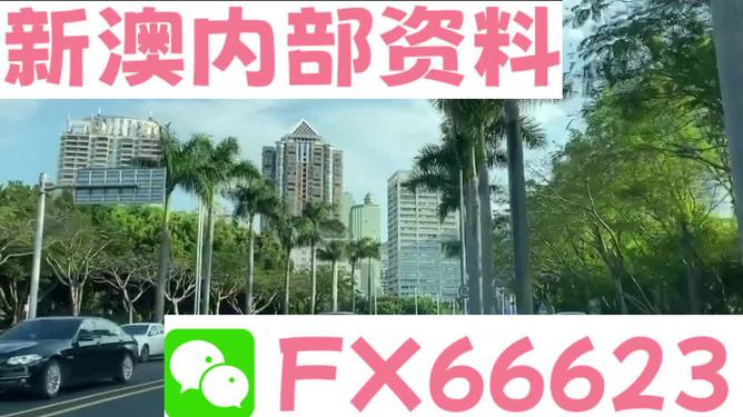 新澳精準(zhǔn)資料免費(fèi)提供，探索第510期的價(jià)值與奧秘，新澳第510期資料揭秘，探索價(jià)值與奧秘的精準(zhǔn)指南