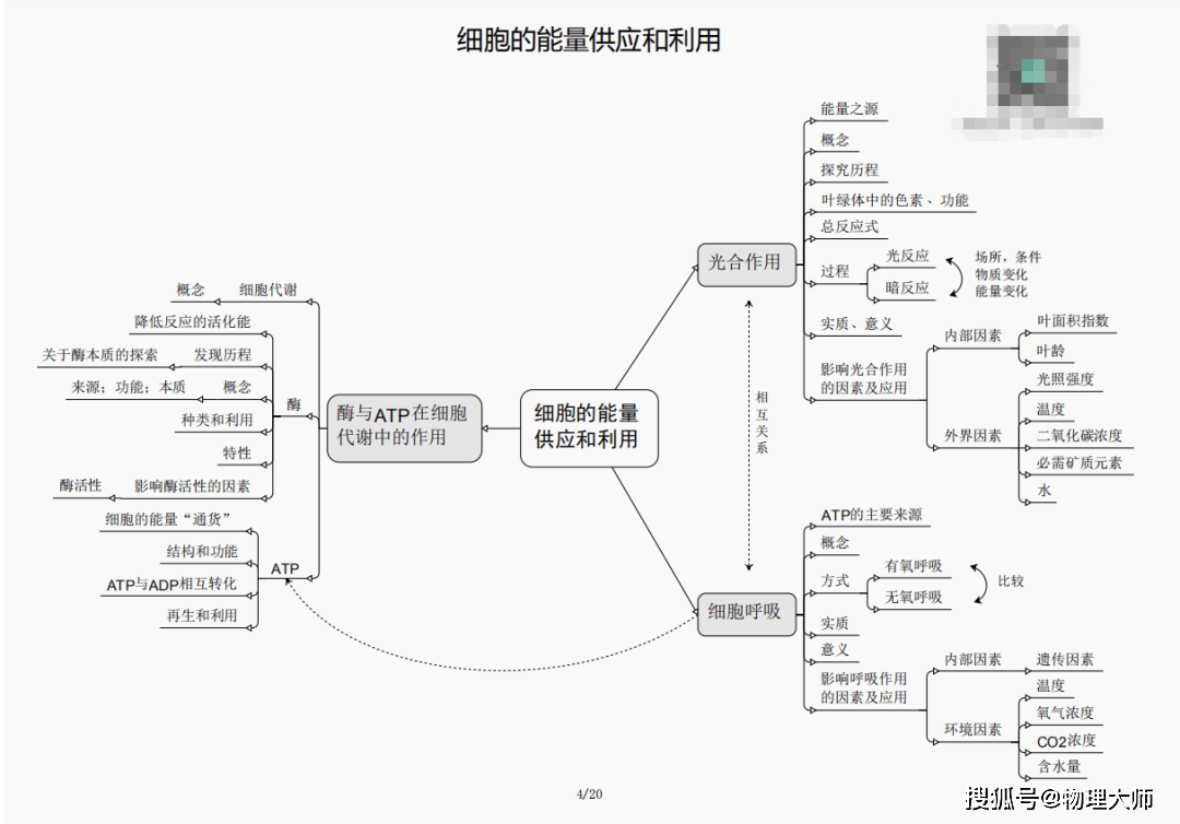 澳門一肖三碼必中特，揭示背后的風險與挑戰(zhàn)，澳門一肖三碼必中特背后的風險與挑戰(zhàn)，揭示違法犯罪問題真相