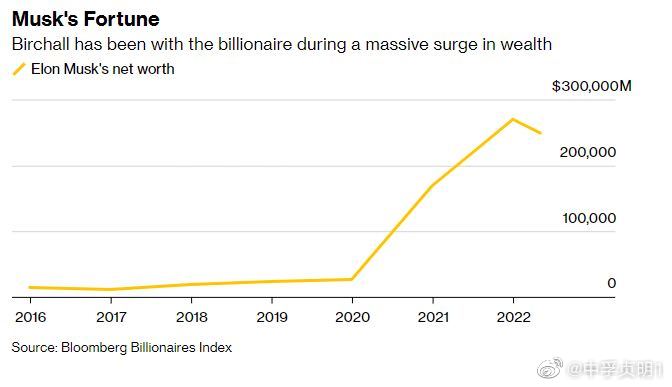 馬斯克財(cái)富增長(zhǎng)1190億美元，探索新財(cái)富時(shí)代的引領(lǐng)者，馬斯克引領(lǐng)新財(cái)富時(shí)代，財(cái)富增長(zhǎng)達(dá)1190億美元