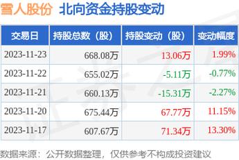 雪人股份目標(biāo)價2024年，深度分析與展望，雪人股份2024年目標(biāo)價深度分析與展望