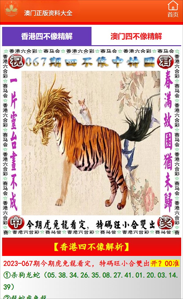 澳門老鼠報，追求最快資訊，傳遞實時動態(tài)，澳門老鼠報，追求實時資訊，傳遞最新動態(tài)