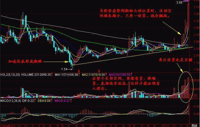 揭秘未來(lái)潛力股，2025年有望翻十倍的股票，揭秘未來(lái)十倍潛力股，展望2025年的翻倍機(jī)會(huì)