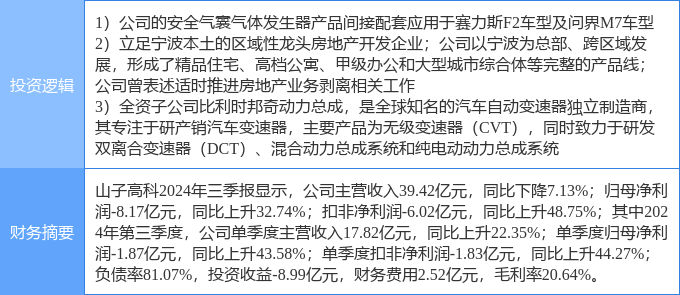 山子高科未來潛力，探索與前瞻，山子高科未來潛力展望與前瞻探索