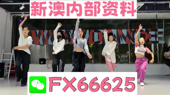 2024年新奧天天精準(zhǔn)資料大全詳解，2024年新奧天天精準(zhǔn)資料大全詳解手冊(cè)