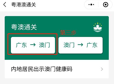 澳門碼資料與違法犯罪問題，澳門碼資料與違法犯罪問題探究