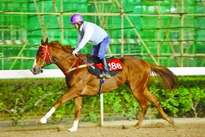 關(guān)于澳門特馬今晚開獎92期的討論與反思——警惕違法犯罪問題，澳門特馬92期開獎討論與反思，警惕違法犯罪問題