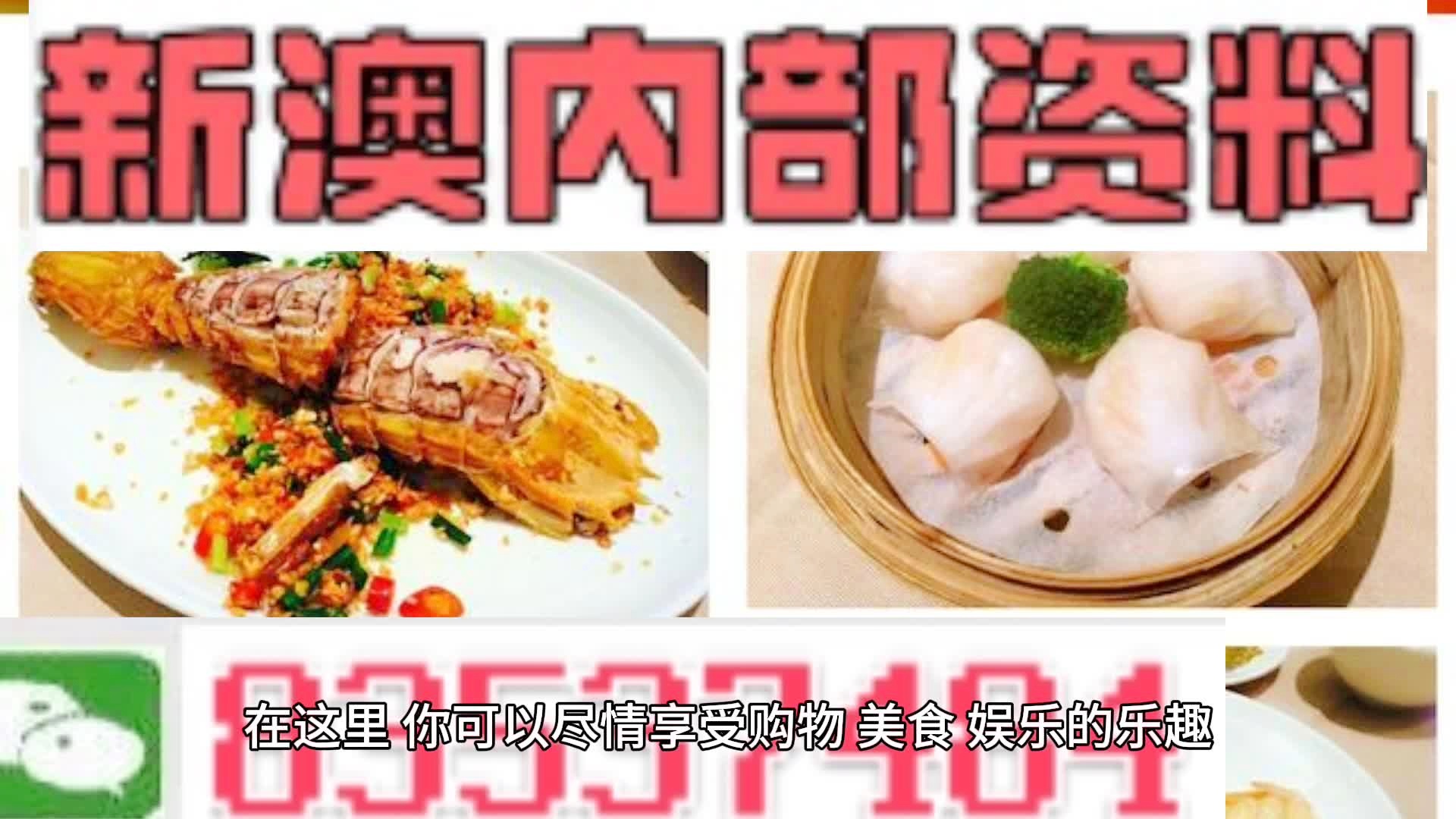 新奧天天精準資料大全，深度解析與實際應用，新奧天天精準資料大全，深度解析及實際應用指南