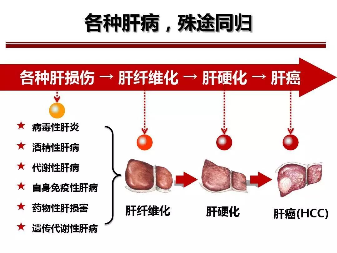 最新肝炎癥狀及其影響，理解、預(yù)防與應(yīng)對(duì)，最新肝炎癥狀、影響、預(yù)防與應(yīng)對(duì)策略解析