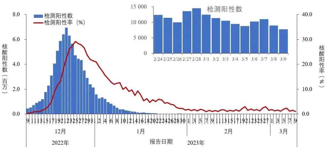 上海流感病毒陽性率統(tǒng)計(jì)及其影響，上海流感病毒陽性率統(tǒng)計(jì)及其社會影響分析