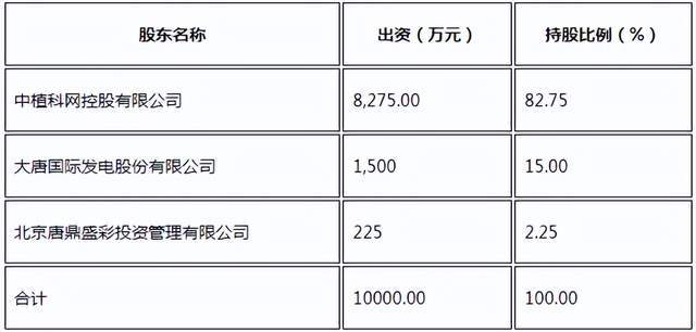 大唐集團存在大額關(guān)注類擔保情況，分析與探討，大唐集團大額關(guān)注類擔保情況深度分析與探討