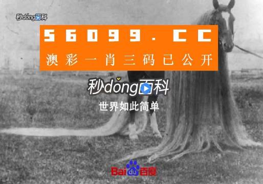 澳門平特一肖100最準一肖必中,創(chuàng)新執(zhí)行設計解析_XP83.849