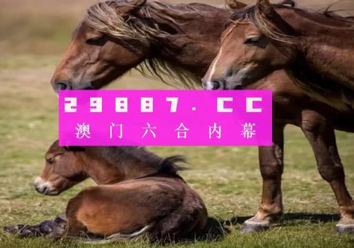 大三巴最準(zhǔn)的一肖一碼,精準(zhǔn)分析實(shí)施_限定版56.331