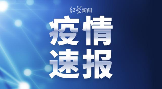 湖南最新肺炎確診情況分析，湖南最新肺炎疫情確診情況分析