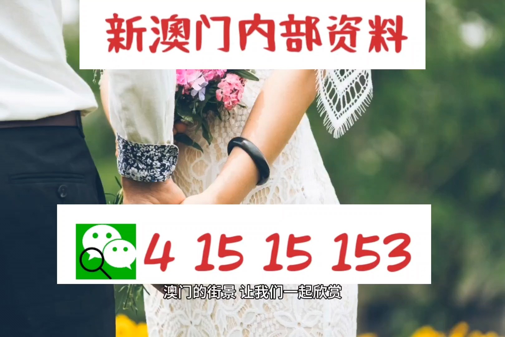 澳門正版資料免費大全新聞——揭示違法犯罪問題的重要性，澳門正版資料免費大全新聞，揭示違法犯罪問題的重要性與影響