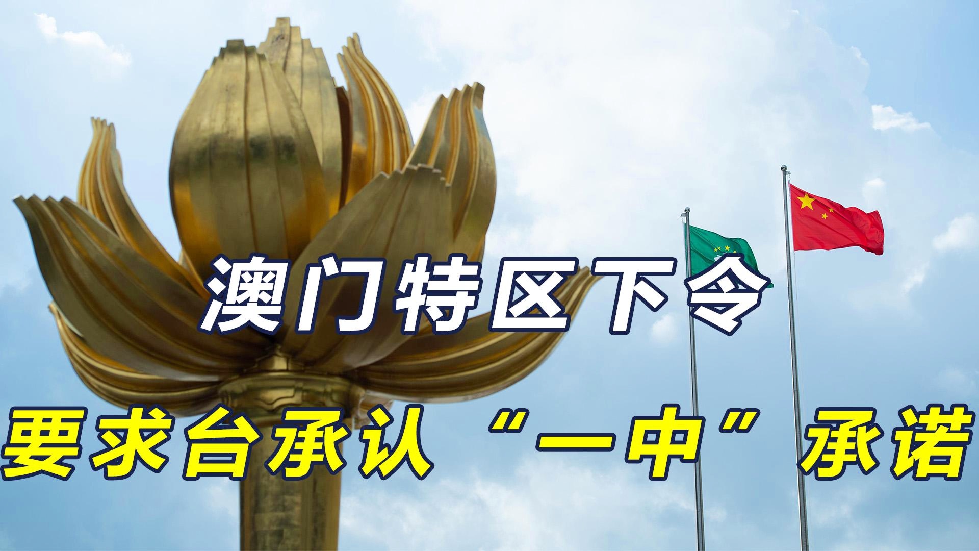 警惕新澳門一碼一肖一特一中——揭開(kāi)犯罪行為的真相，警惕新澳門一碼一肖一特一中，揭開(kāi)犯罪真相，守護(hù)安全防線