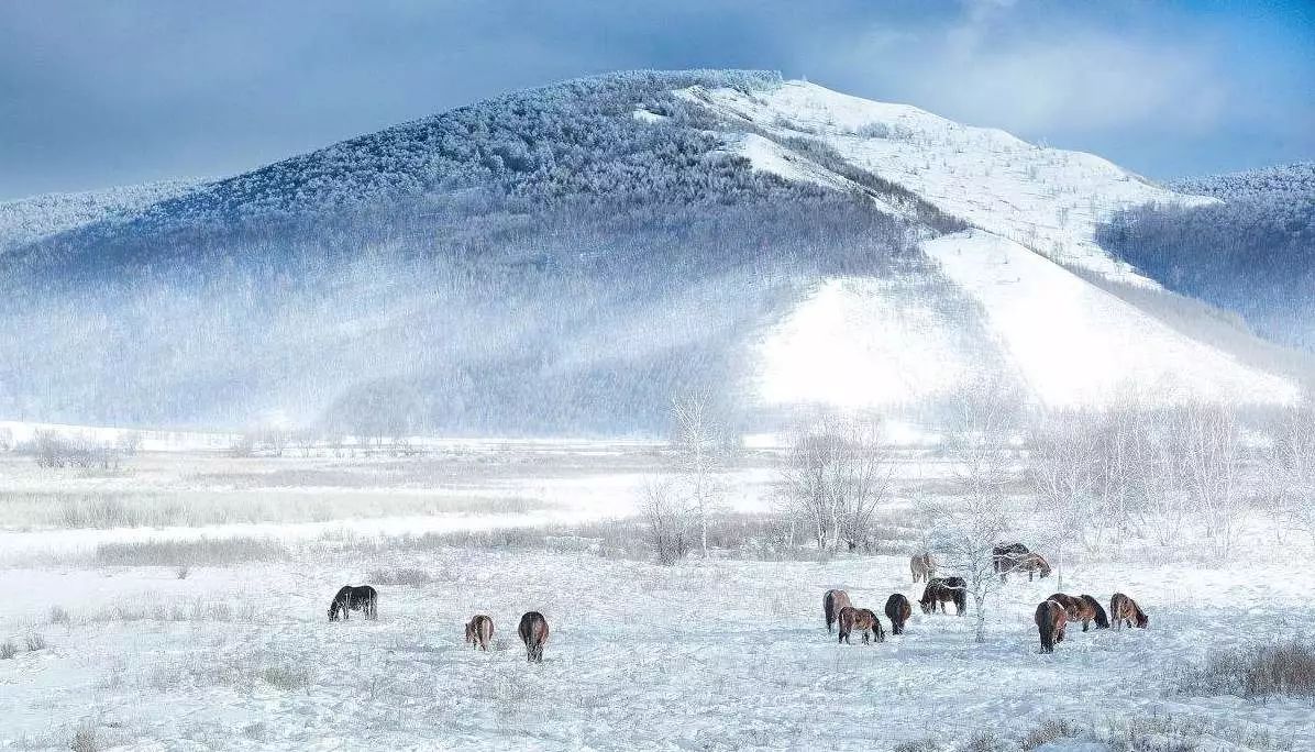 國內哪里雪景最美——探尋中國最美的雪景勝地，中國最美的雪景勝地探尋之旅