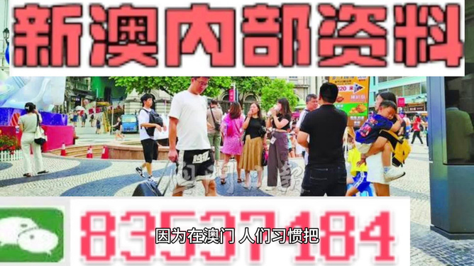 探索未來，解析2024新澳精準(zhǔn)正版資料的重要性與價值，解析2024新澳正版資料，探索未來的價值與重要性