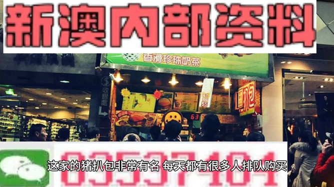 新奧天天精準(zhǔn)資料大全，探索與洞察，新奧天天精準(zhǔn)資料大全，探索與洞察的洞察