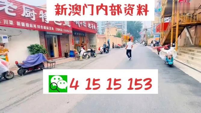 澳門彩票背后的故事，警惕違法犯罪風(fēng)險(xiǎn)，澳門彩票背后的故事，警惕違法犯罪風(fēng)險(xiǎn)揭秘