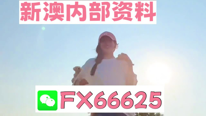 揭秘彩票背后的神秘數(shù)字，精準一肖與數(shù)字組合的魅力，彩票背后的神秘數(shù)字揭秘，精準一肖與數(shù)字組合的魅力探索