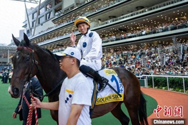 香港特馬王資料免費公開，深度解析與探索，香港特馬王資料深度解析與探索，免費公開揭秘