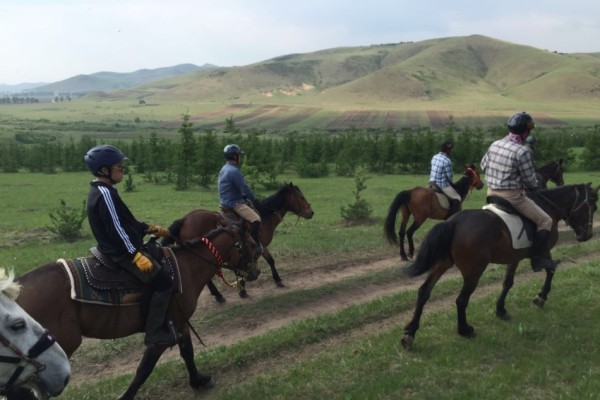 澳門特馬今晚開獎，探索彩票背后的故事與期待，澳門特馬今晚開獎，彩票背后的故事與期待揭秘