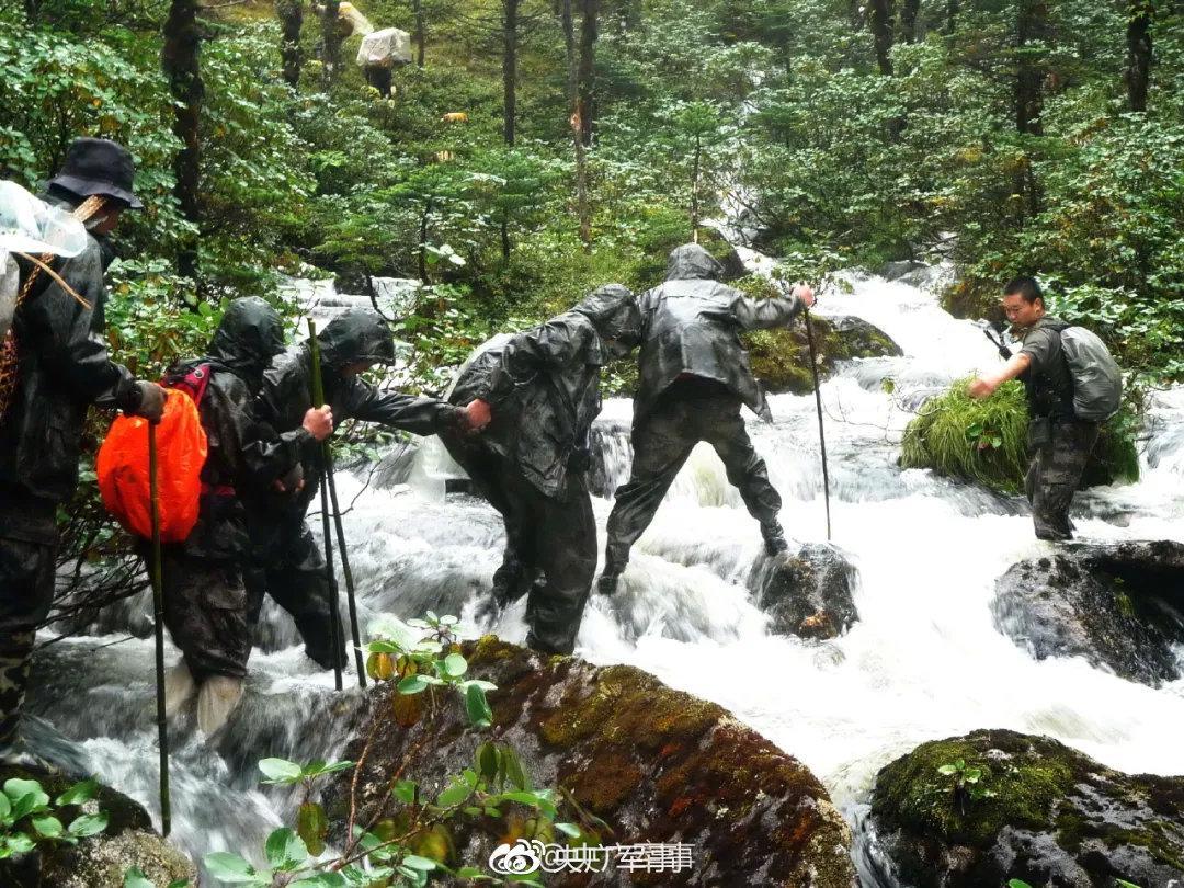 央廣軍事，權(quán)威軍事媒體的級(jí)別與影響力，央廣軍事，權(quán)威軍事媒體的級(jí)別與影響力概述