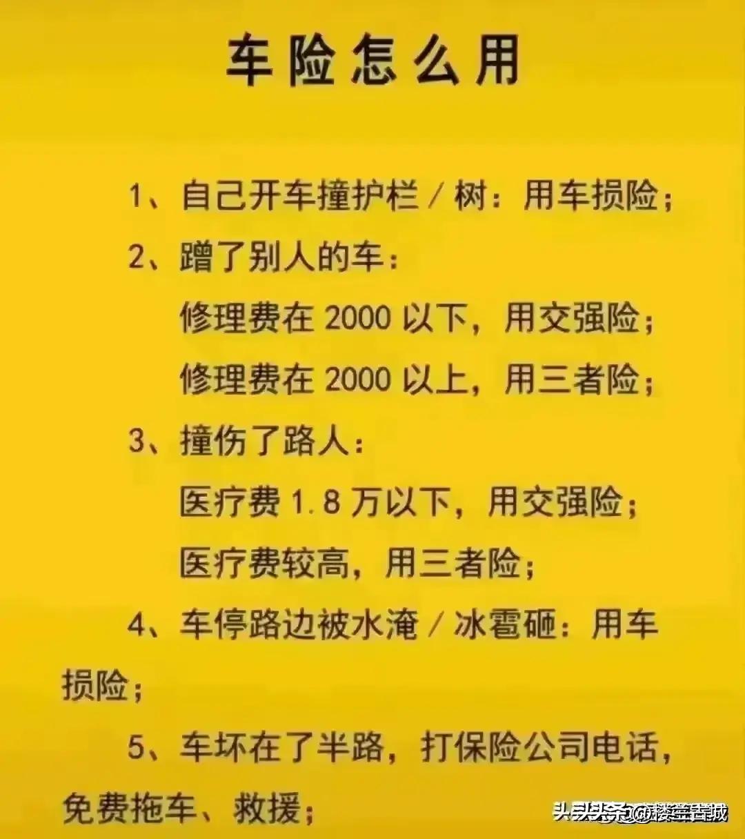 參考消息數(shù)字報，重塑新聞行業(yè)的數(shù)字化先鋒，重塑新聞行業(yè)先鋒，數(shù)字化引領下的參考消息數(shù)字報時代