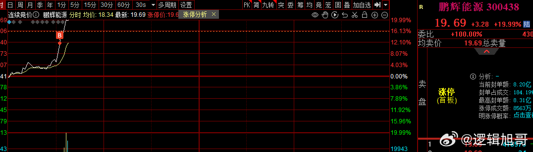 關(guān)于股票300438的全面解析，股票300438全方位深度解析