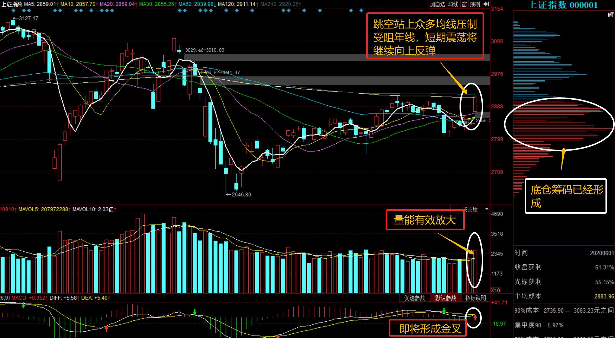 深度解析，300013股票行情及市場走勢，深度解析，股票行情與市場走勢分析——以300013為例