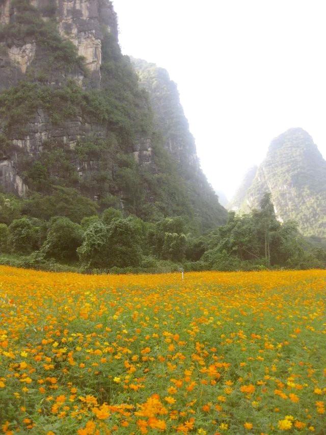 遇龍河漂流，一次難忘的水上冒險(xiǎn)之旅，遇龍河漂流，難忘的水上冒險(xiǎn)之旅體驗(yàn)