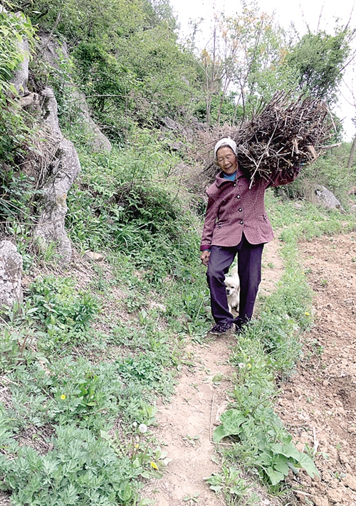 農(nóng)村中老年人征婚，尋找幸福晚年的新起點(diǎn)，農(nóng)村中老年征婚，晚年幸福的起點(diǎn)之路